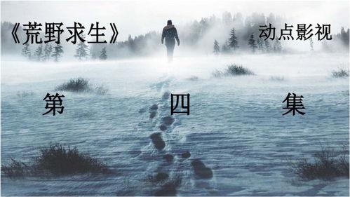 荒野独居 第三季,挑战极限，探索人性深处的生存智慧