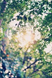 冰蓝遇见暖黄,色彩交融下的视觉盛宴